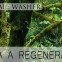 Essencial: Washer | Entenda a Regeneração