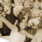 A História de Ian e Larissa