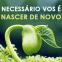 Necessário vos é nascer de novo (Keith Mathison)