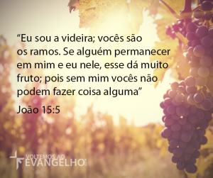 EuSouAVideira