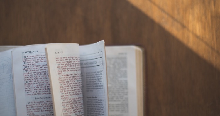 bíblias em papel são melhores?
